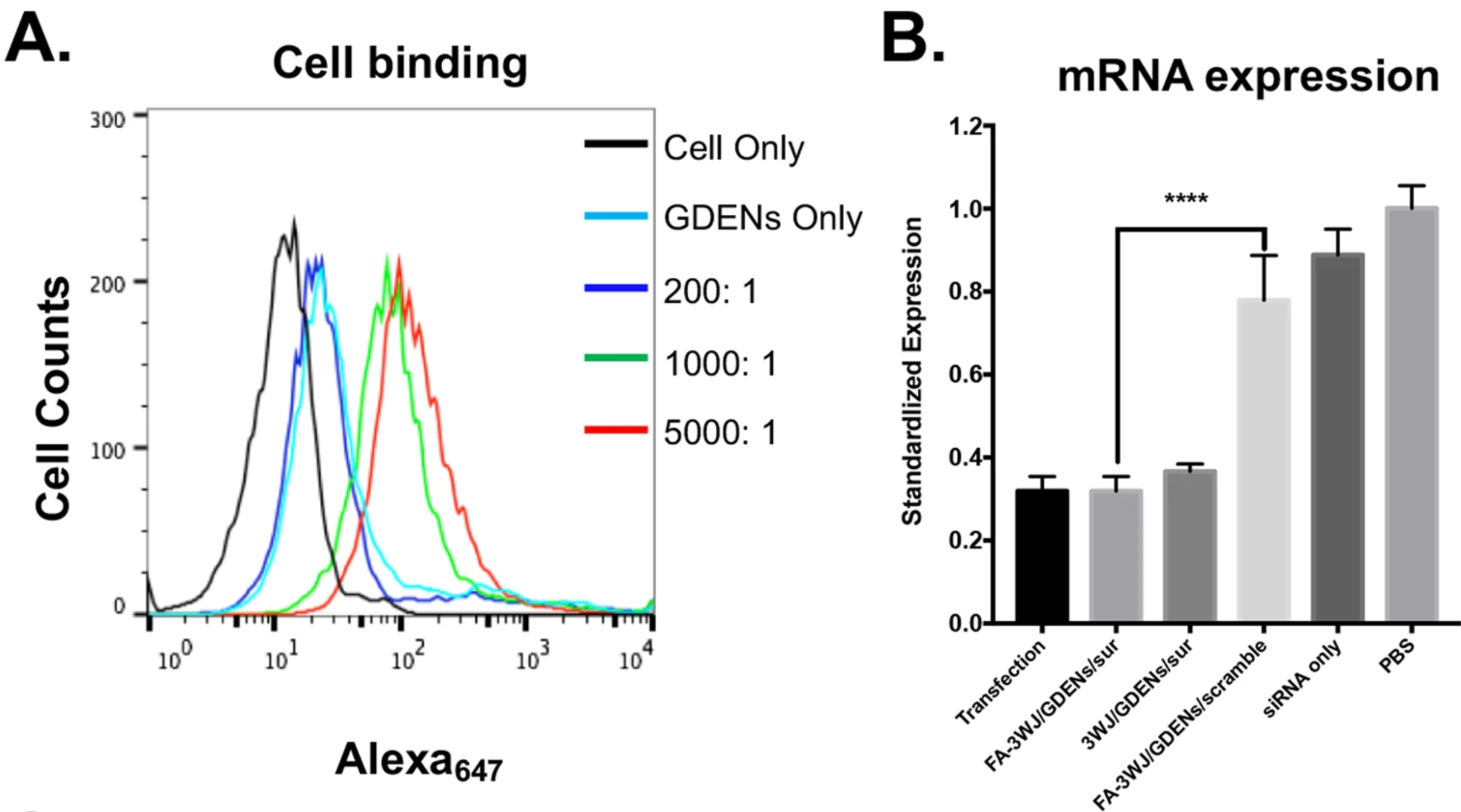 Ginger exosomes-mediated cancer cell targeting and siRNA delivery.